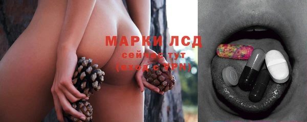 тгк Абинск