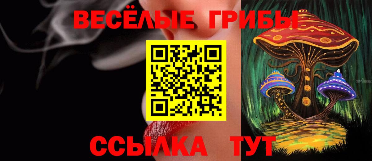 Галлюциногенные грибы MAGIC MUSHROOMS  Вход с VPN  Бугуруслан 