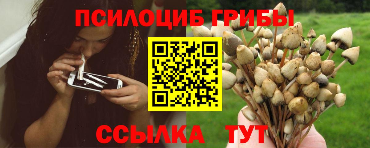 Псилоцибиновые грибы ЛСД Бугуруслан